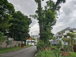Florence Road (D19), Detached #595841941